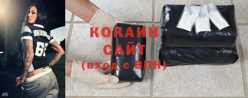 mega   дарнет шоп  Тайга  COCAIN Fish Scale 